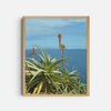 Photograph 'Orange Tropical'
