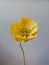 Fleur de papier Pavot [modèles variés]