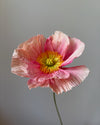 Fleur de papier Pavot