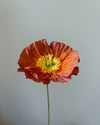 Fleur de papier Pavot
