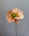 Fleur de papier Pavot