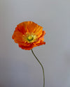 Fleur de papier Pavot