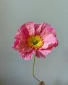 Fleur de papier Pavot