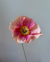 Fleur de papier Pavot