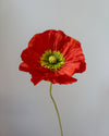 Fleur de papier Pavot