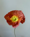Fleur de papier Pavot