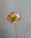 Fleur de papier Pavot