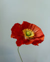 Fleur de papier Pavot