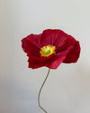 Fleur de papier Pavot