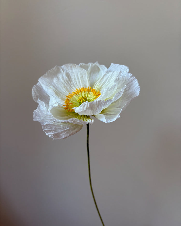 Fleur de papier Pavot [modèles variés]