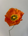 Fleur de papier Pavot