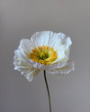 Fleur de papier Pavot