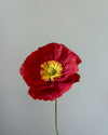 Fleur de papier Pavot