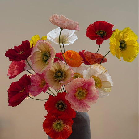 Paper Poppy Flower
