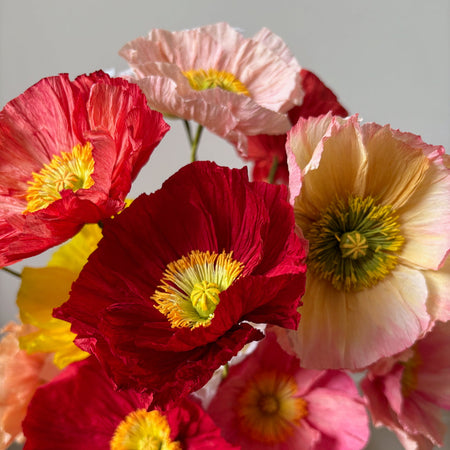 Fleur de papier Pavot