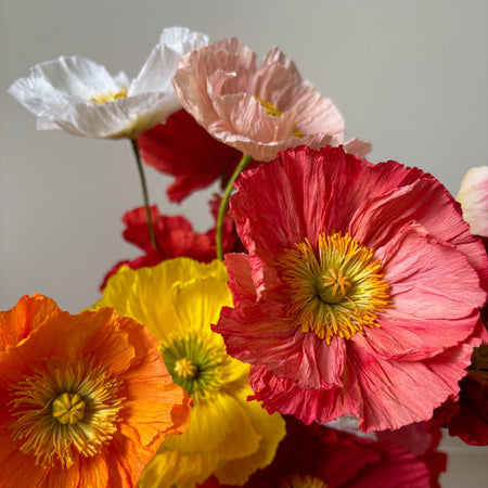 Fleur de papier Pavot grand