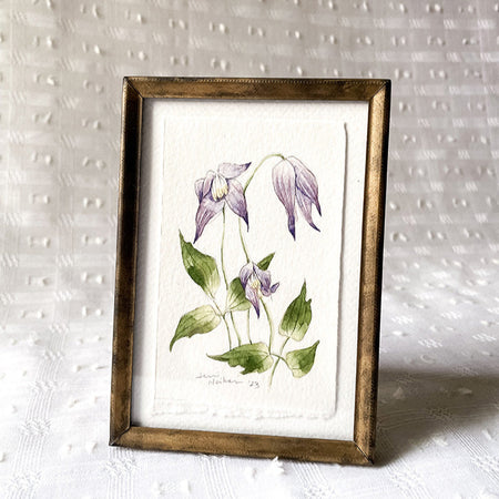 Aquarelle originale 'Clématite violette'