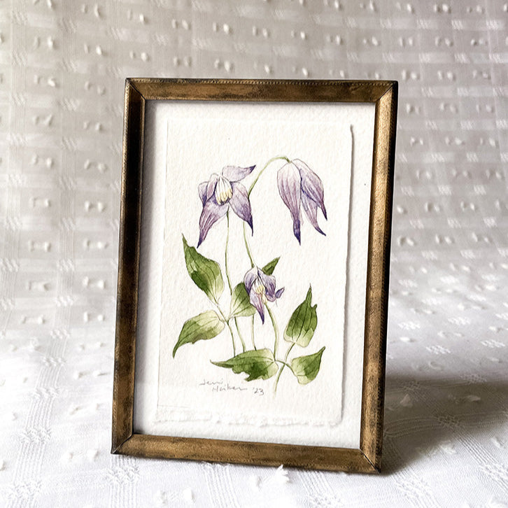 Aquarelle originale 'Clématite violette'