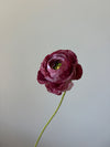 Fleur de papier Renoncule