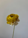 Fleur de papier Renoncule