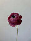 Fleur de papier Renoncule