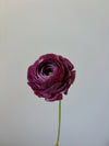 Fleur de papier Renoncule