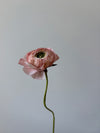 Fleur de papier Renoncule