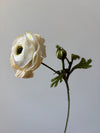 Fleur de papier Renoncule