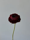 Fleur de papier Renoncule