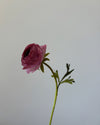 Fleur de papier Renoncule