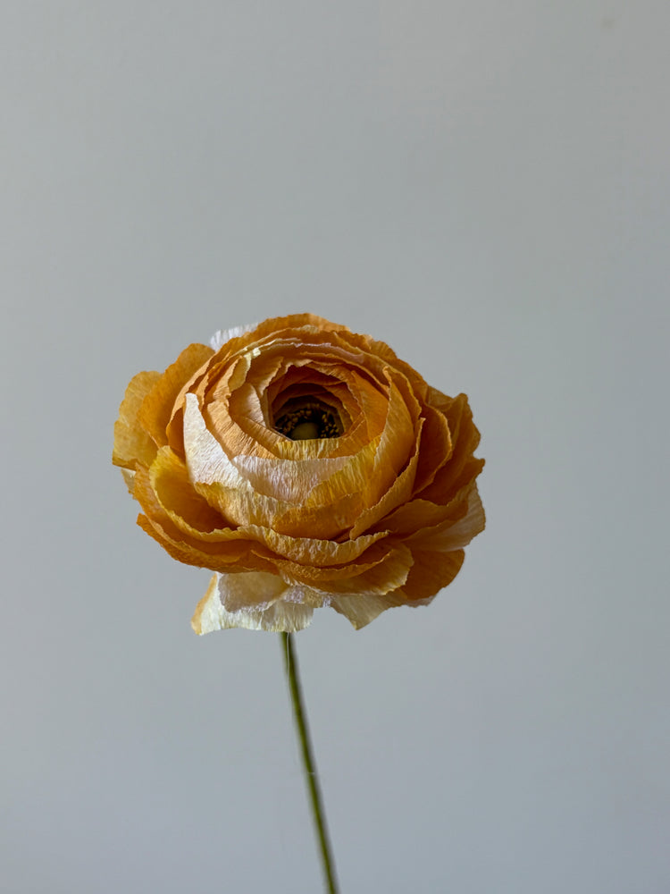 Fleur de papier Renoncule