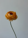 Fleur de papier Renoncule