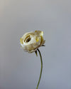 Fleur de papier Renoncule