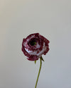 Fleur de papier Renoncule