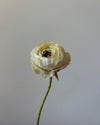 Fleur de papier Renoncule
