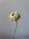 Fleur de papier Renoncule