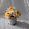 Raku footed vase