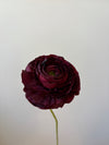 Fleur de papier Renoncule [modèles variés]