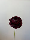 Fleur de papier Renoncule [modèles variés]