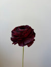 Fleur de papier Renoncule [modèles variés]