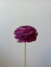 Fleur de papier Renoncule [modèles variés]