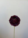 Fleur de papier Renoncule [modèles variés]