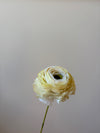 Fleur de papier Renoncule [modèles variés]