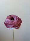Fleur de papier Renoncule [modèles variés]