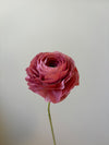 Fleur de papier Renoncule [modèles variés]