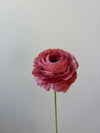 Fleur de papier Renoncule [modèles variés]
