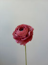 Fleur de papier Renoncule [modèles variés]