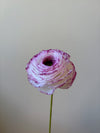 Fleur de papier Renoncule [modèles variés]