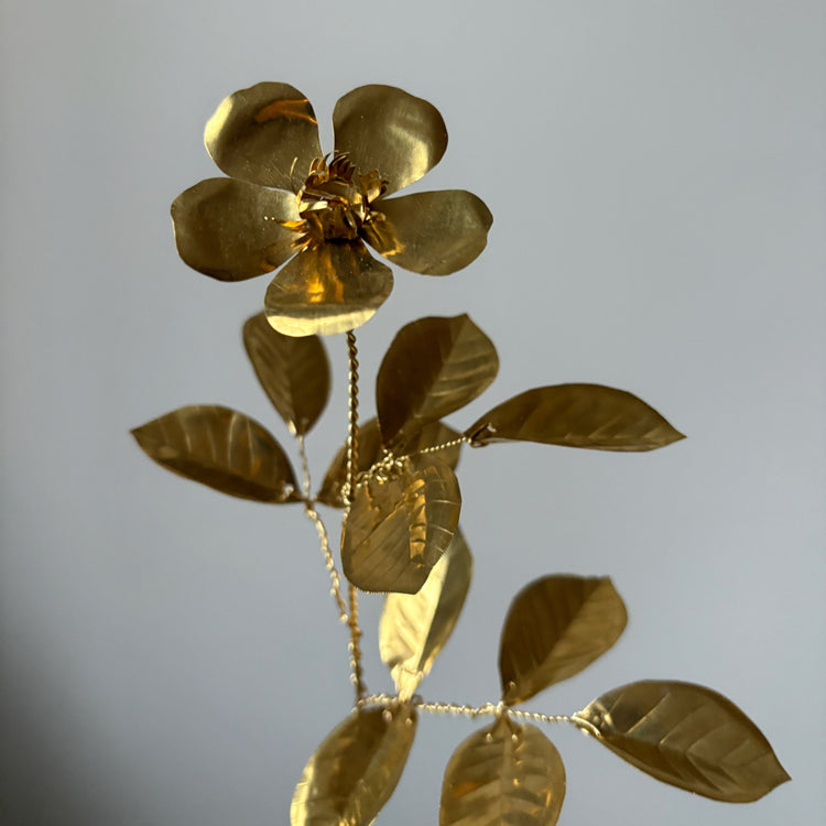 Brass Rosa Woodsii Flower