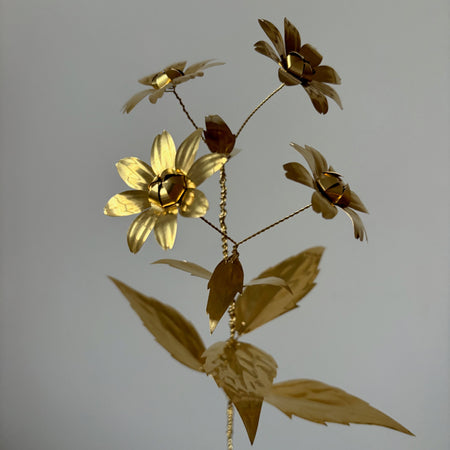 Brass Rudbeckia Triloba Flower